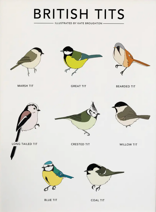 A4 Print of British Tits by Kate Broughton