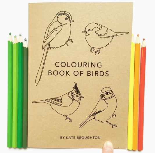 A5 Colouring Book of Birds