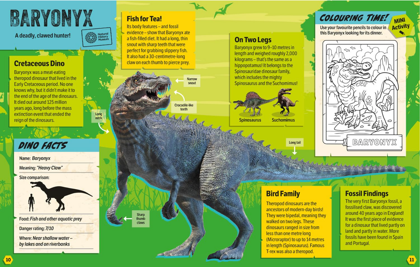 Age 5-7 Natural History Museum Dinosaurs Annual 2025